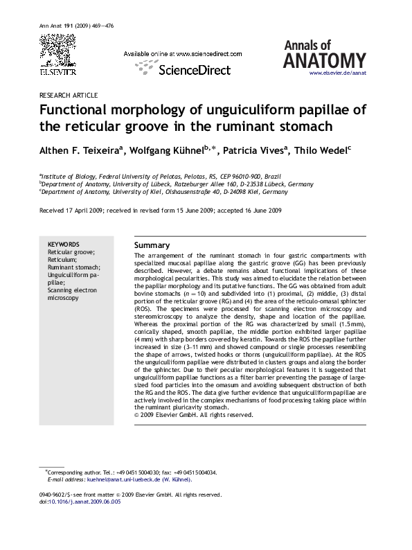 (PDF) Functional morphology of unguiculiform papillae of the reticular