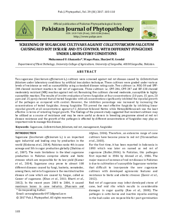 (PDF) Screening of Sugarcane Cultivars Against Colletotrichum Falcatum ...