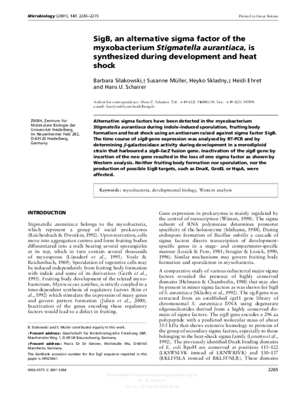 (PDF) SigB, an alternative sigma factor of the myxobacterium ...