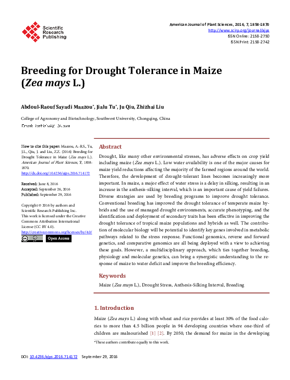 (PDF) Breeding for Drought Tolerance in Maize ( Zea mays L.)