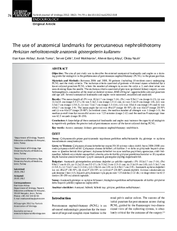 (PDF) The use of anatomical landmarks for percutaneous nephrolithotomy