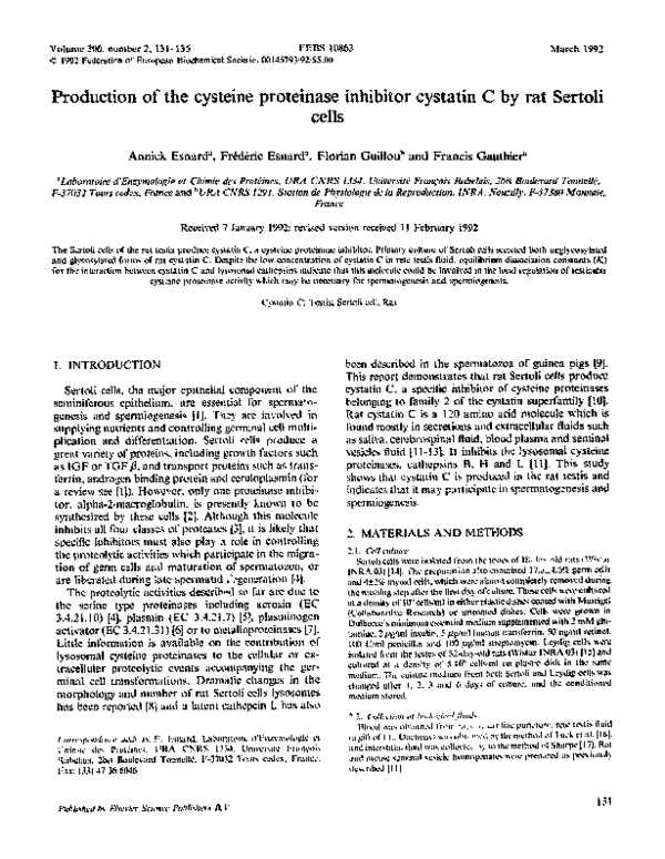 (PDF) Production of the cysteine proteinase inhibitor cystatin C by rat ...