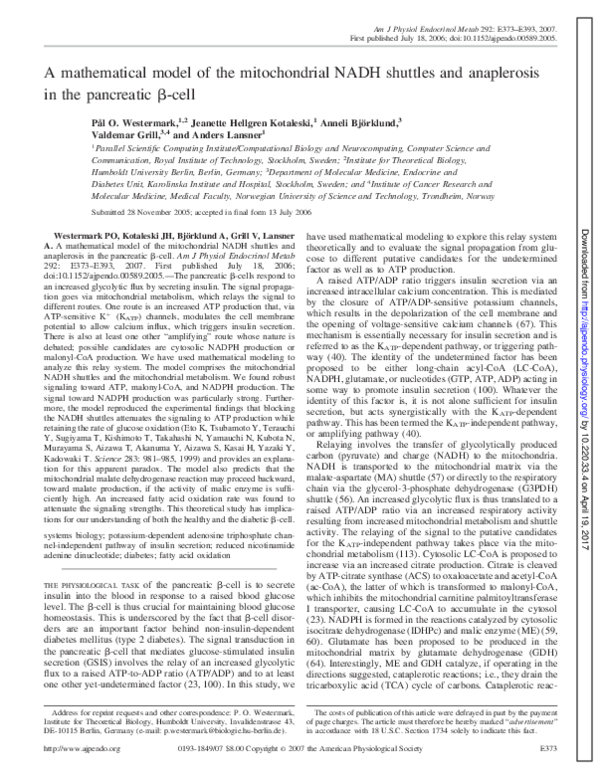 (PDF) A mathematical model of the mitochondrial NADH shuttles and ...