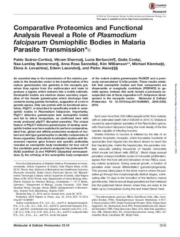 (PDF) Comparative proteomics and functional analysis reveal a role of P ...