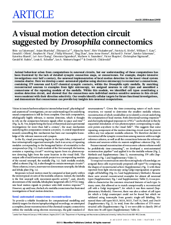(PDF) A visual motion detection circuit suggested by Drosophila