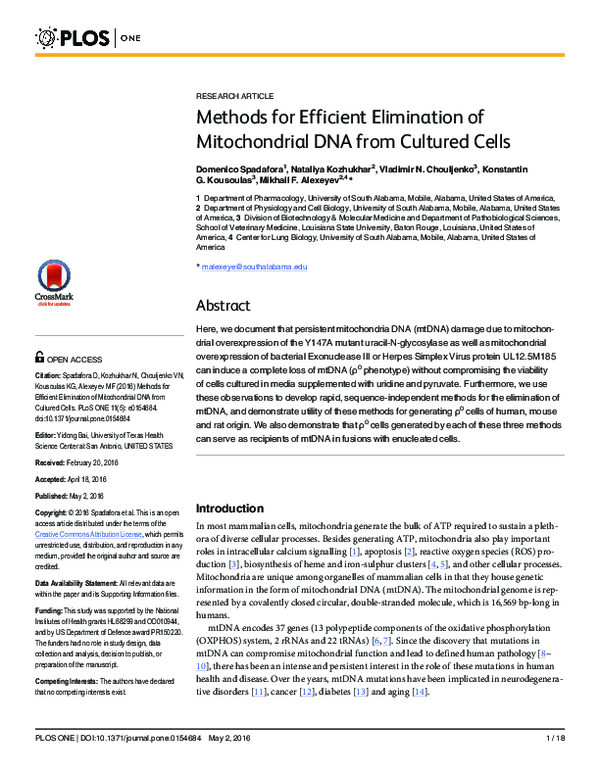 (PDF) Methods for Efficient Elimination of Mitochondrial DNA from ...