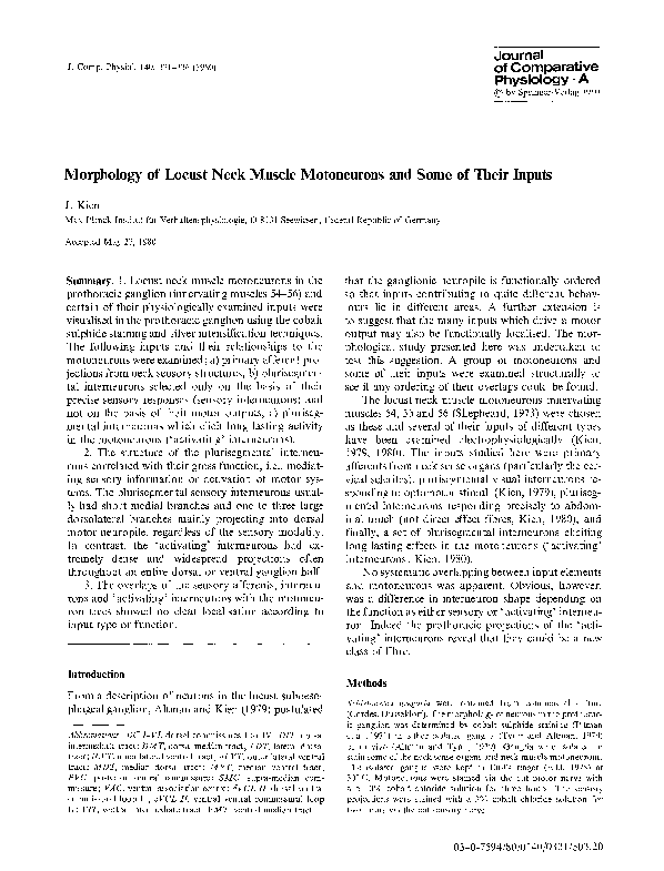 (PDF) Morphology of locust neck muscle motoneurons and some of their inputs
