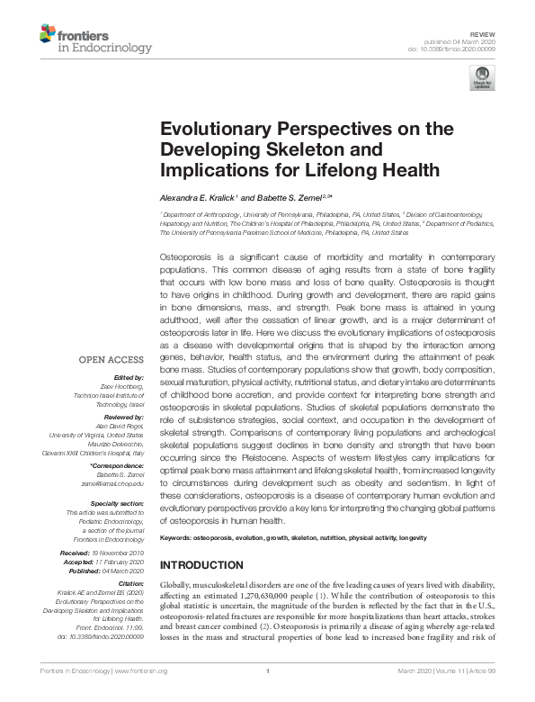 (PDF) Evolutionary Perspectives on the Developing Skeleton and ...