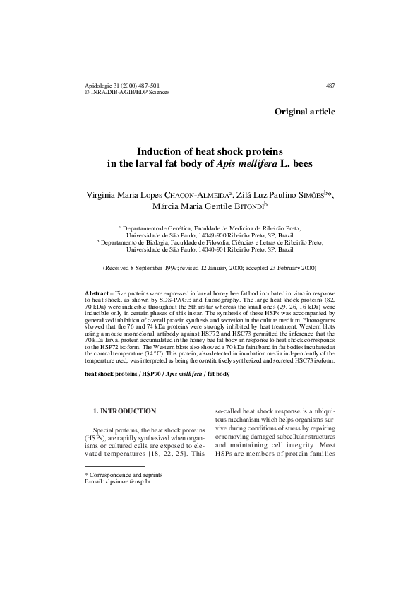 (PDF) Induction of heat shock proteins in the larval fat body of Apis ...