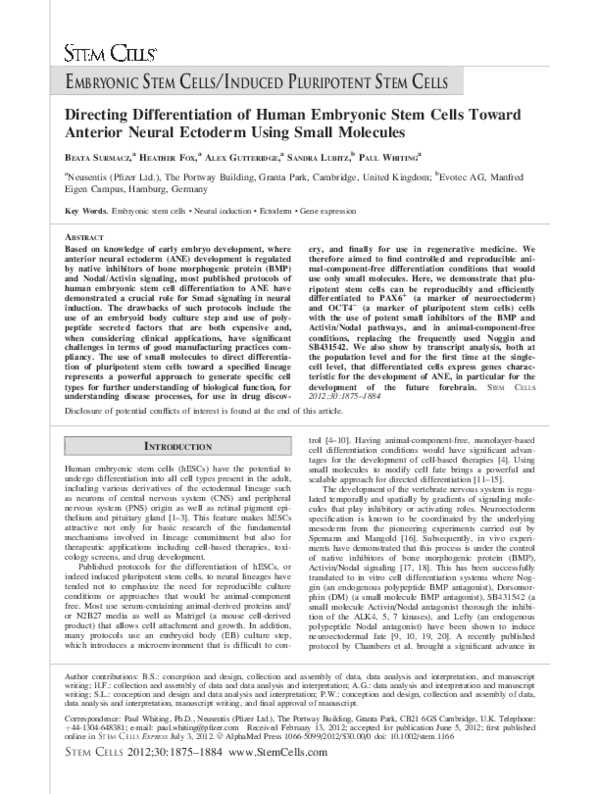 (PDF) Directing Differentiation of Human Embryonic Stem Cells Toward ...