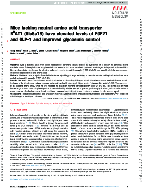 APEX31 | Long-Term Weight Loss & GLP-1 Support Program