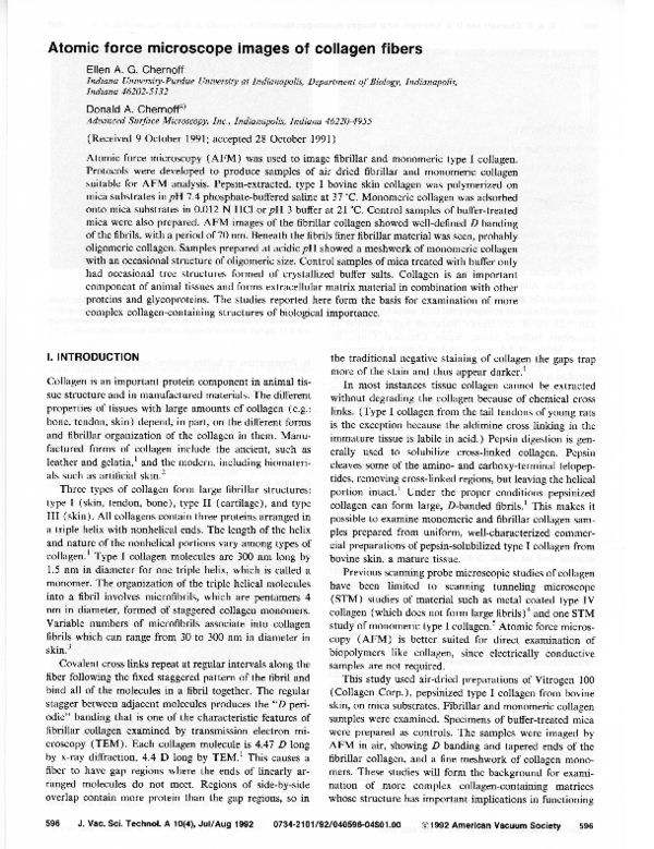 (PDF) Atomic force microscope images of collagen fibers