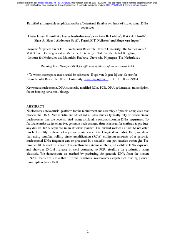 (PDF) Ramified Rolling Circle Amplification for efficient and flexible ...