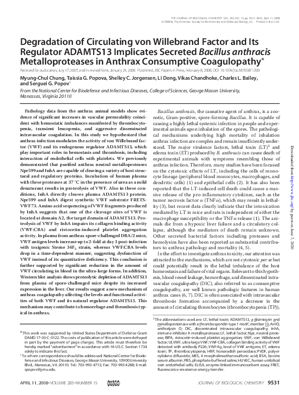 (PDF) Degradation of Circulating von Willebrand Factor and Its ...