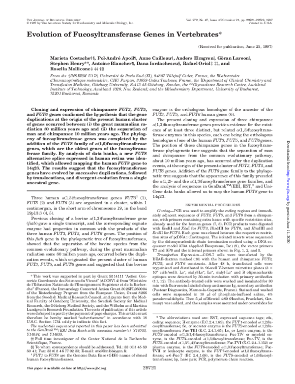 PDF) Evolution of Fucosyltransferase Genes in Vertebrates
