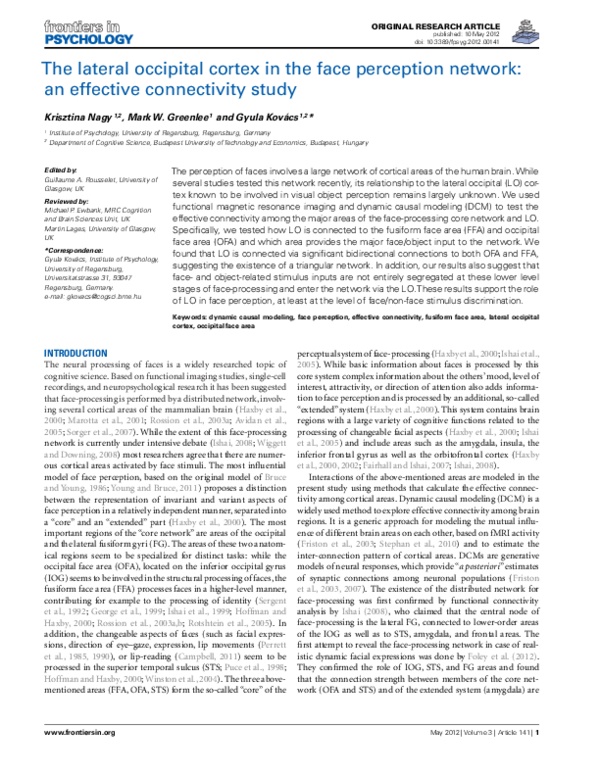 (PDF) The Lateral Occipital Cortex in the Face Perception Network: An ...
