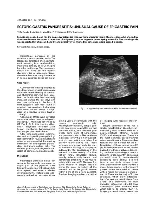 Dog pancreatitis death rate picture