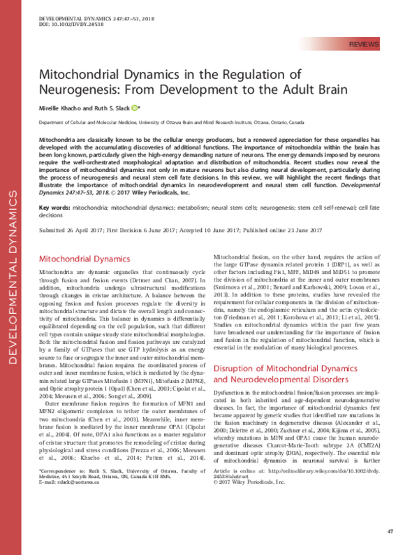 (PDF) Mitochondrial dynamics in the regulation of neurogenesis: From ...
