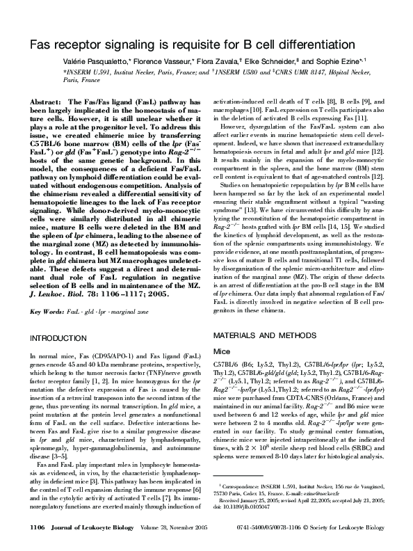 (PDF) Fas receptor signaling is requisite for B cell differentiation