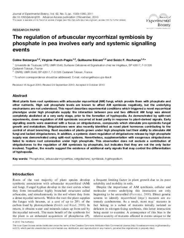 (PDF) The regulation of arbuscular mycorrhizal symbiosis by phosphate ...
