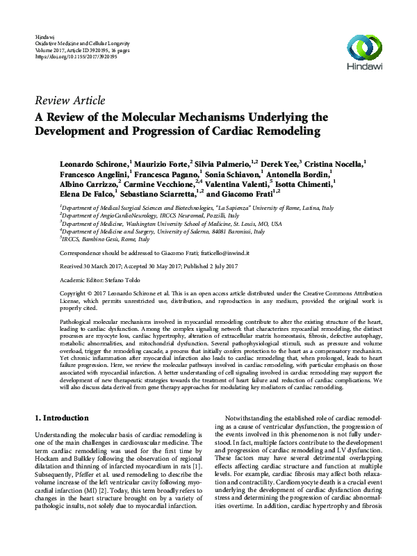 (PDF) A Review of the Molecular Mechanisms Underlying the Development ...