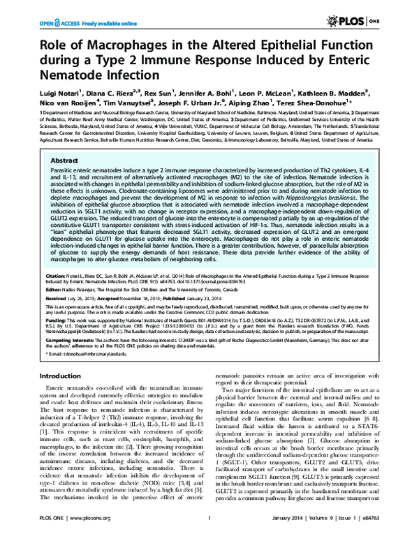 (PDF) Role of Macrophages in the Altered Epithelial Function during a ...