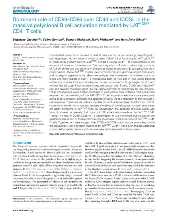 Dominant Role of CD80–CD86 Over CD40 and ICOSL in the Massive ...