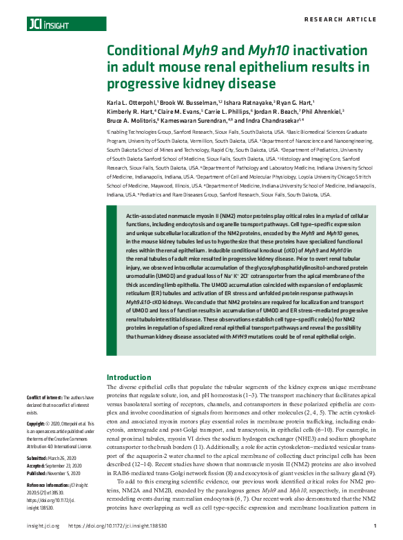 (PDF) Conditional Myh9 and Myh10 inactivation in adult mouse renal ...