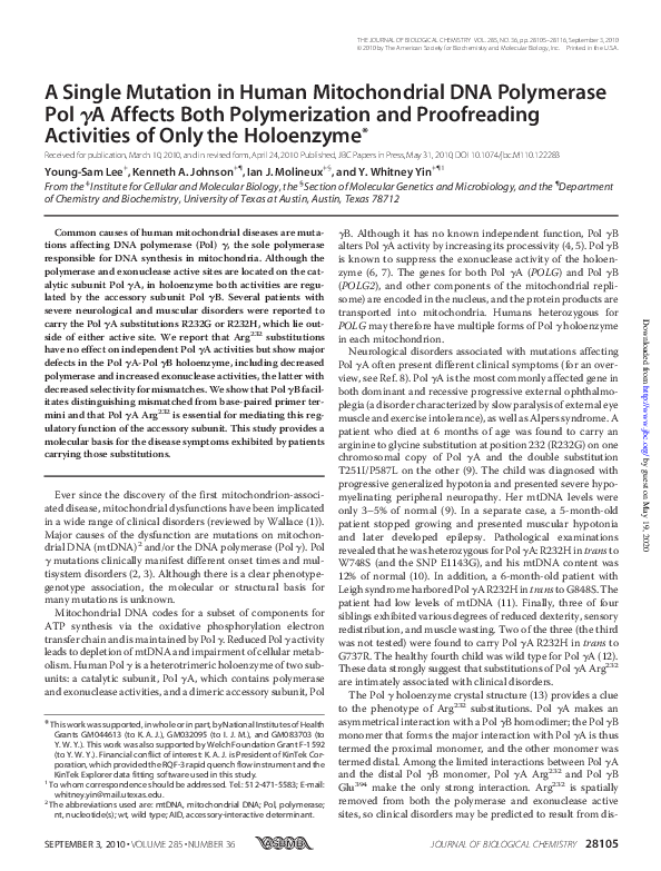 (PDF) A Single Mutation in Human Mitochondrial DNA Polymerase Pol A ...