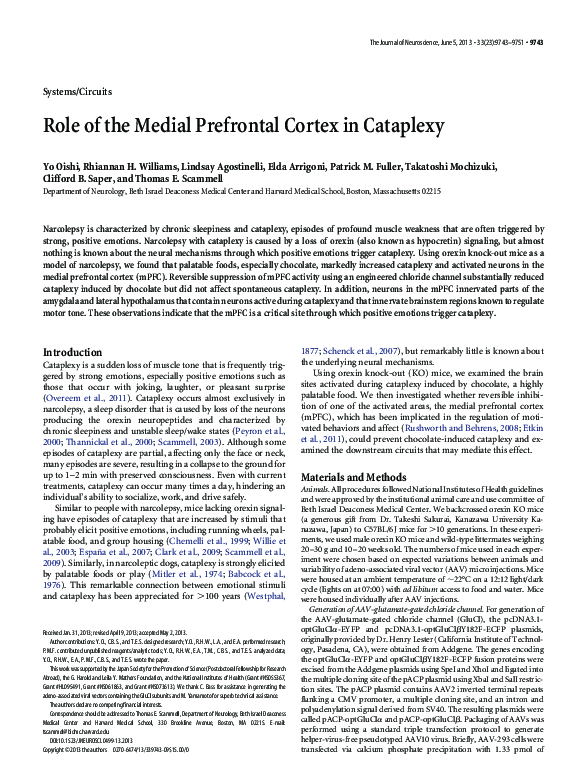 (PDF) Role of the Medial Prefrontal Cortex in Cataplexy