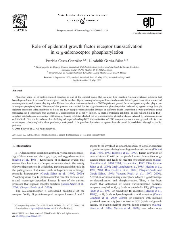 (PDF) Role of epidermal growth factor receptor transactivation in α1B ...