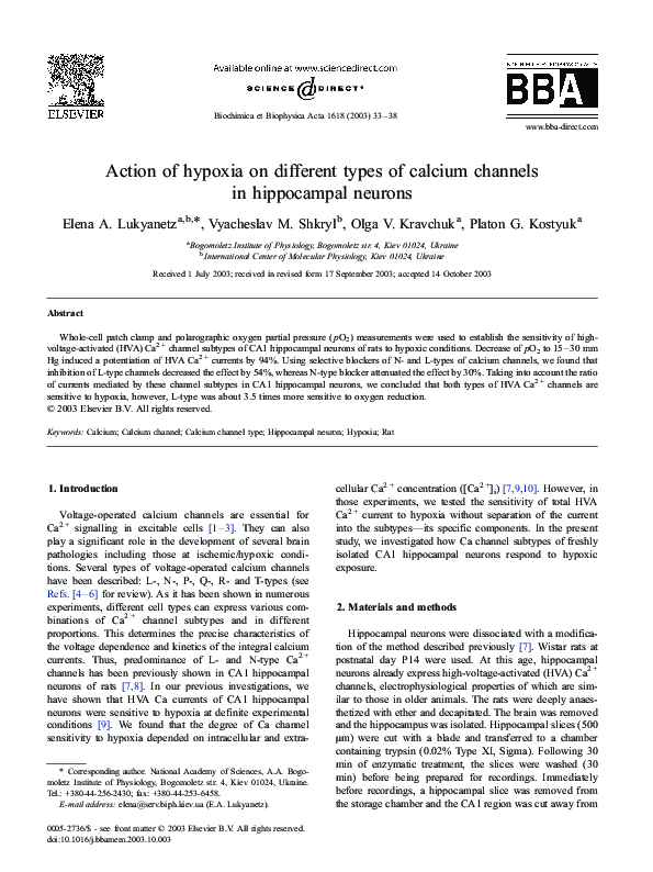 (PDF) Action of hypoxia on different types of calcium channels in ...