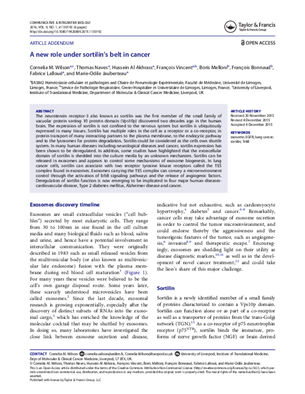 New roles essay 08 image