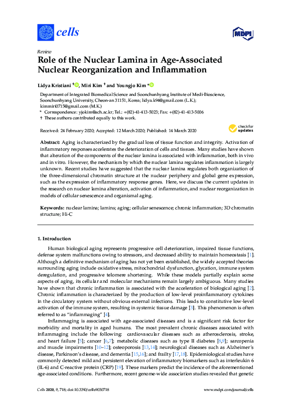 (PDF) Role of the Nuclear Lamina in Age-Associated Nuclear ...