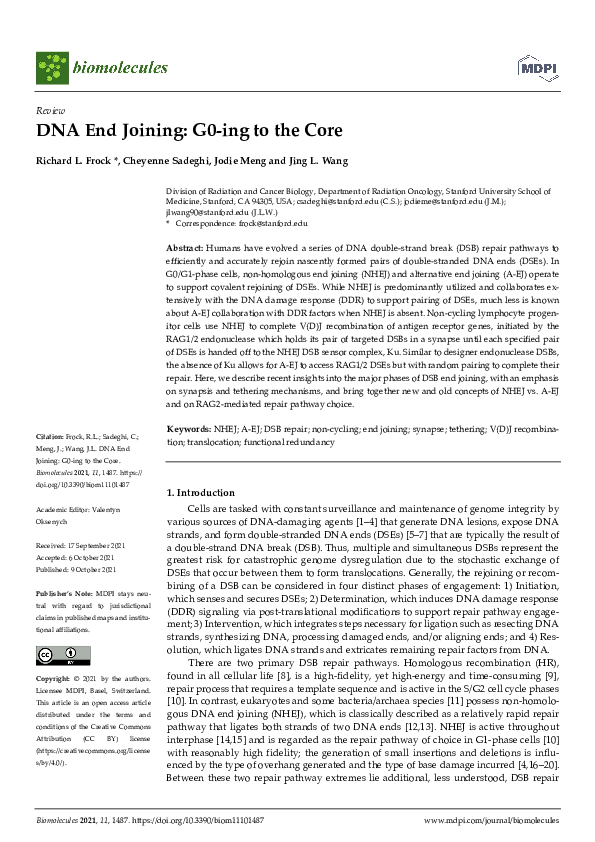 (PDF) DNA End Joining: G0-ing to the Core