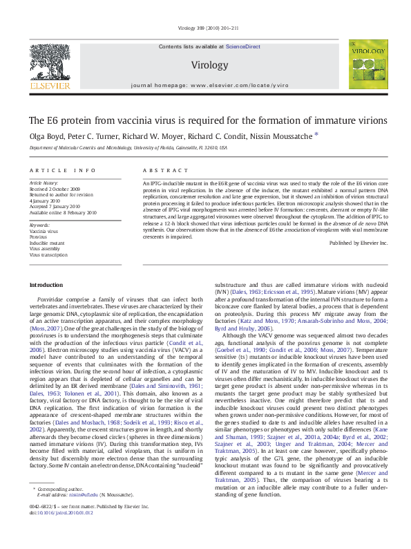 (PDF) The E6 protein from vaccinia virus is required for the formation ...