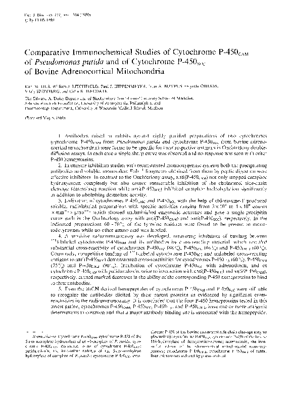 (PDF) Comparative Immunochemical Studies of Cytochrome P-450CAM of ...