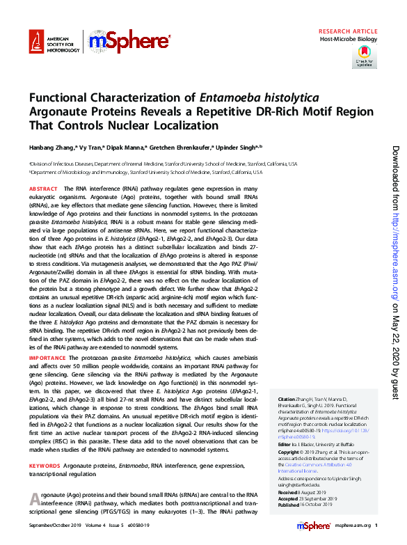 (PDF) Functional Characterization of Entamoeba histolytica Argonaute ...