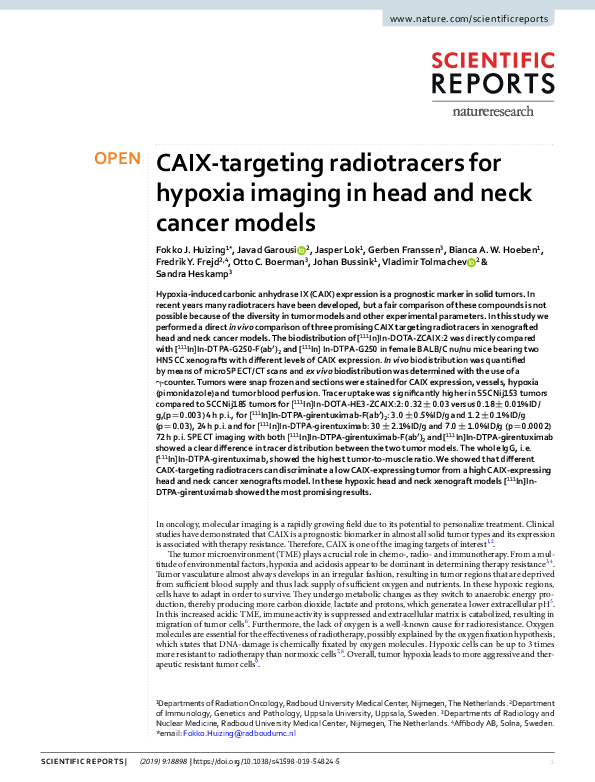(PDF) CAIX-targeting radiotracers for hypoxia imaging in head and neck ...