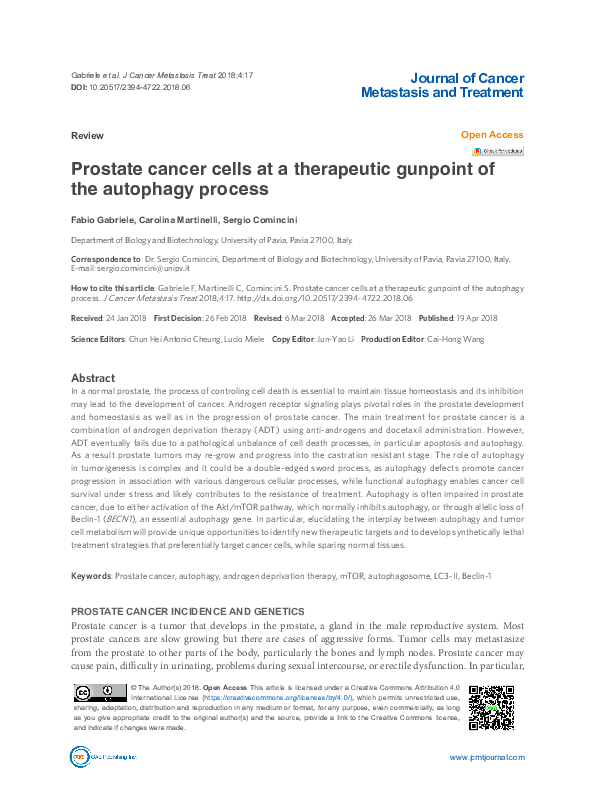 (PDF) Prostate cancer cells at a therapeutic gunpoint of the autophagy ...