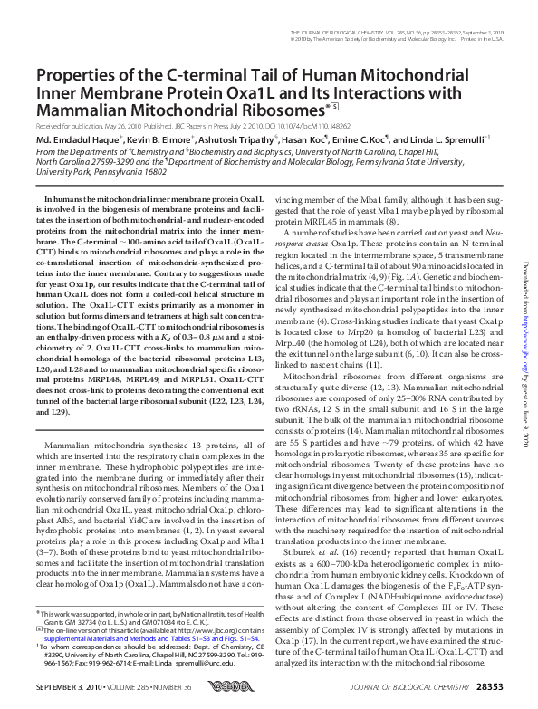 (PDF) Properties of the C-terminal Tail of Human Mitochondrial Inner ...