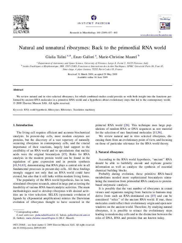 (PDF) Natural and unnatural ribozymes: back to the primordial RNA world