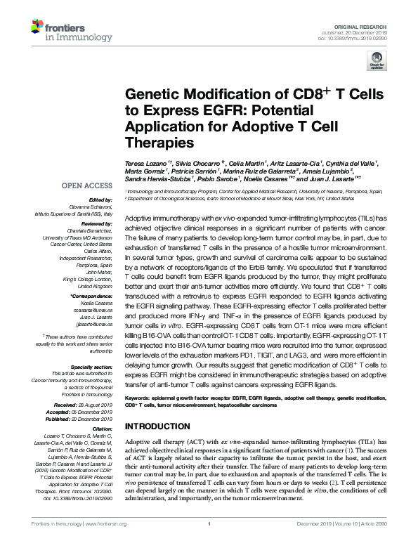 (PDF) Genetic Modification of CD8+ T Cells to Express EGFR: Potential ...