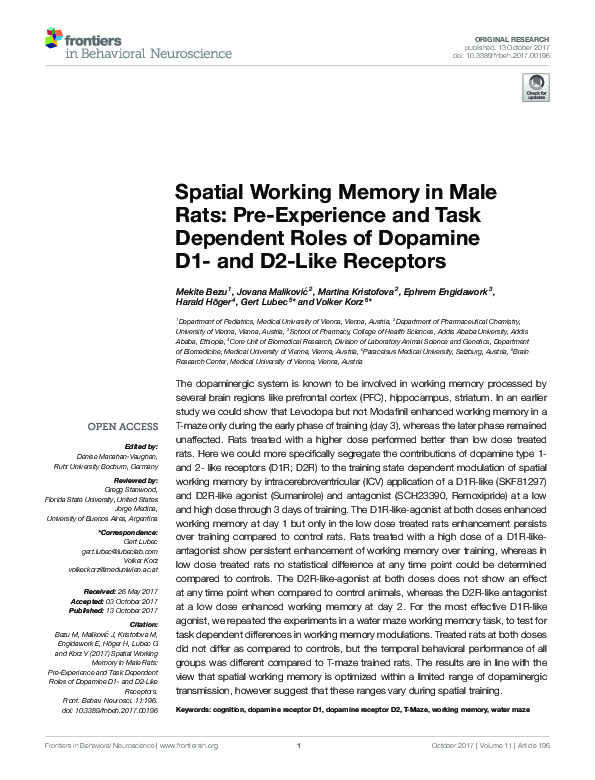 (PDF) Spatial Working Memory in Male Rats: Pre-Experience and Task ...