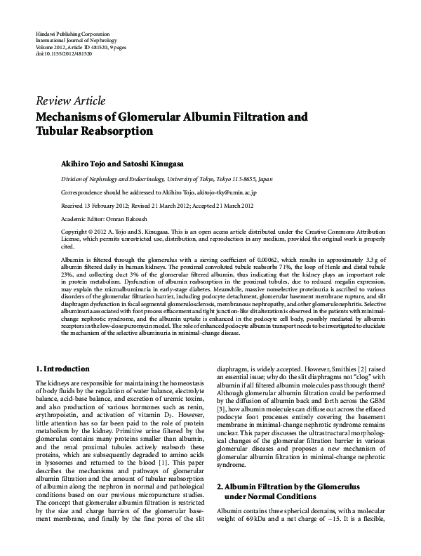 (PDF) Mechanisms of glomerular albumin filtration and tubular