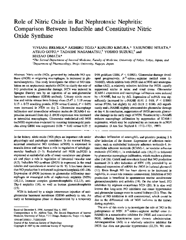 (PDF) Role of nitric oxide in rat nephrotoxic nephritis: comparison ...