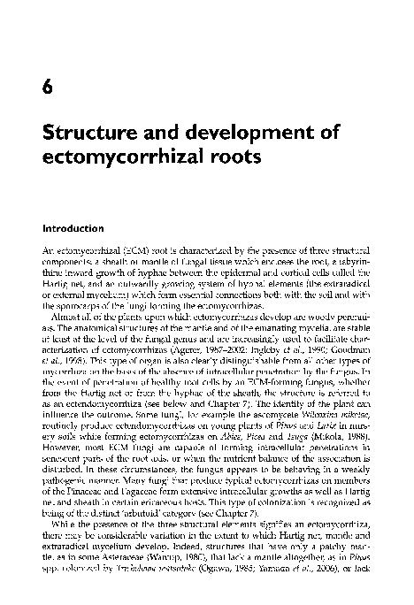 (PDF) Structure and development of ectomycorrhizal roots