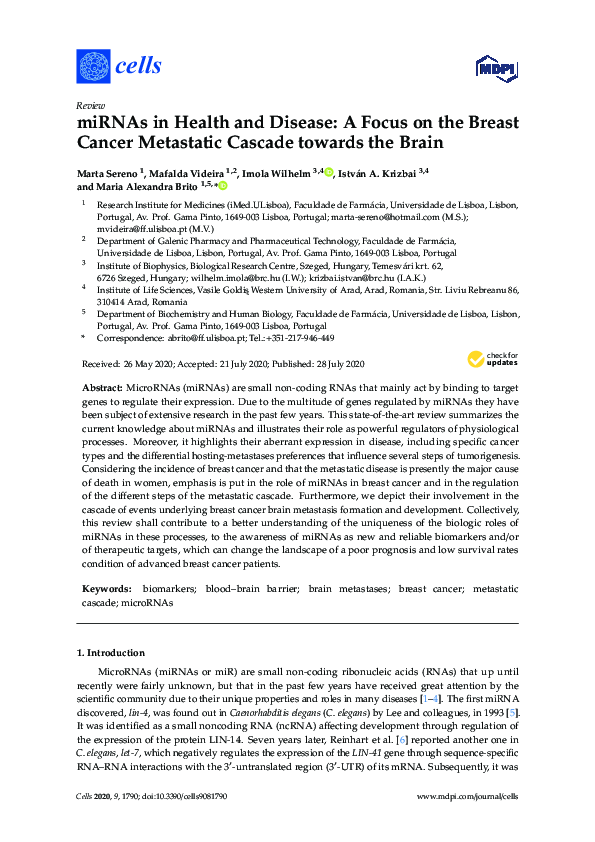 (PDF) miRNAs in Health and Disease: A Focus on the Breast Cancer ...