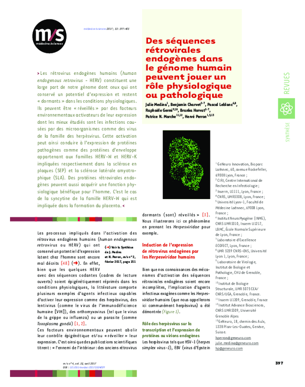 (PDF) [Endogenous retroviral sequences in the human genome can play a ...