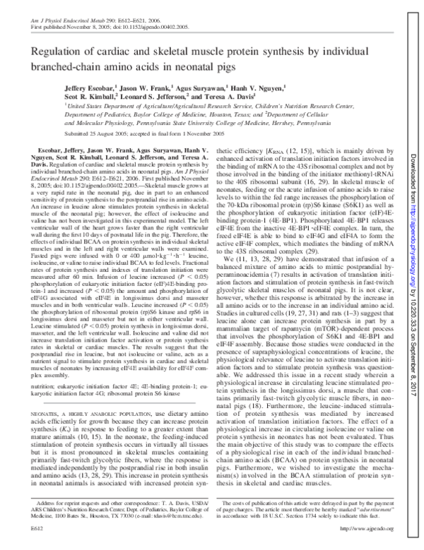 (PDF) Regulation of cardiac and skeletal muscle protein synthesis by ...